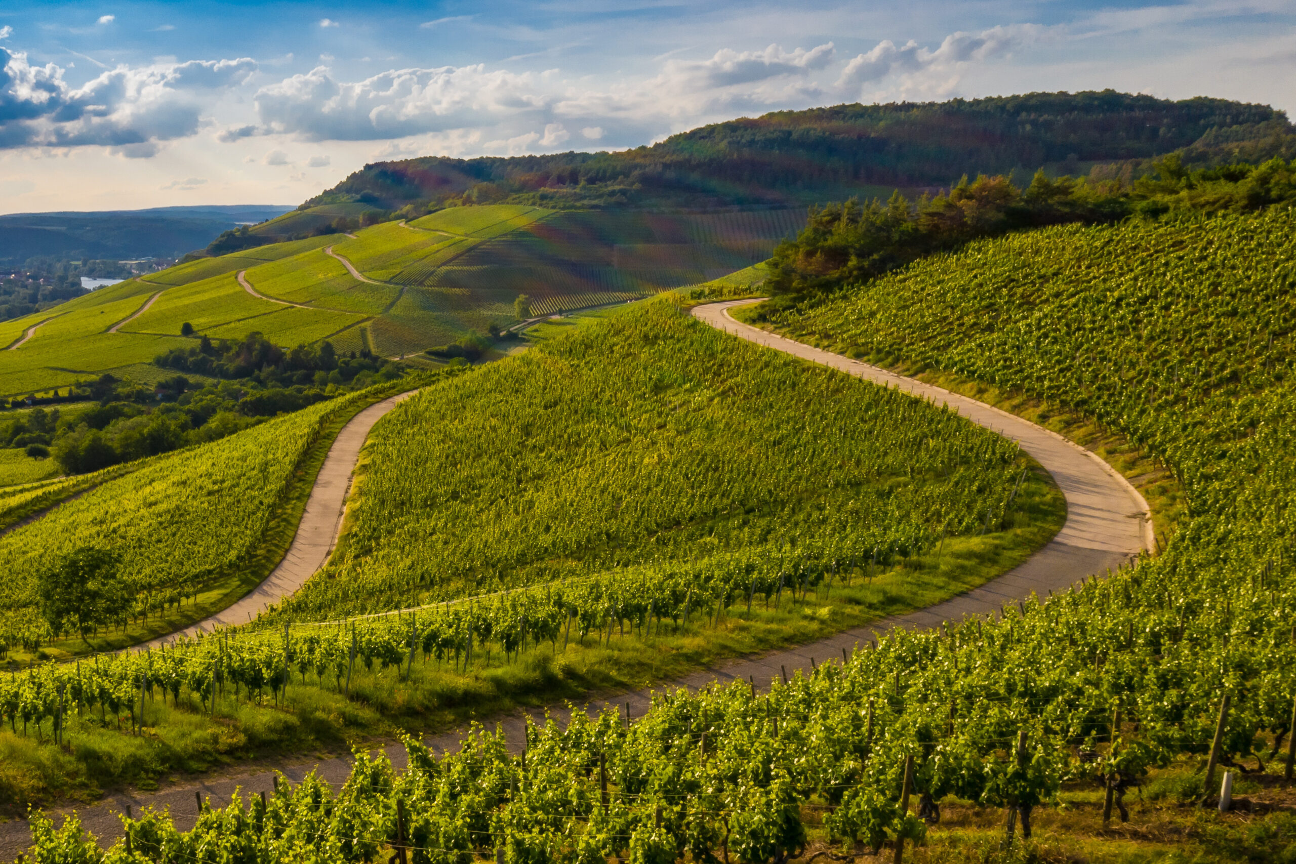 Paysage Domaine Didier Charavin