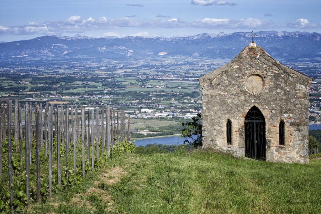 Paysage Domaine Alain Voge