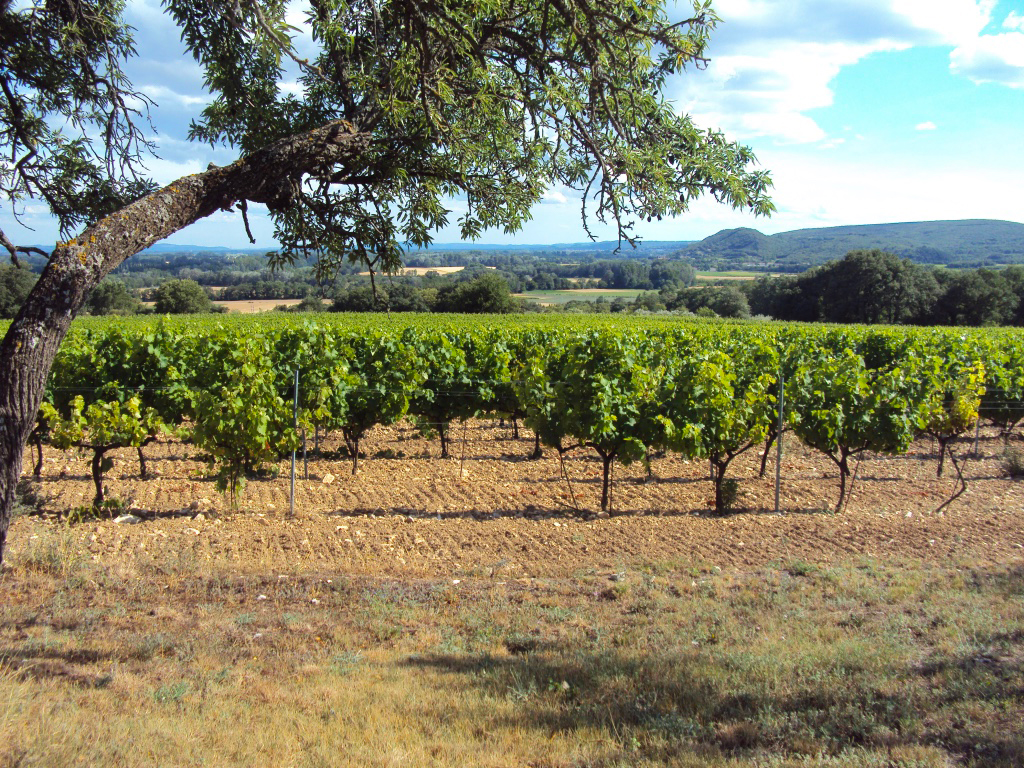 Paysage Domaine Gallety