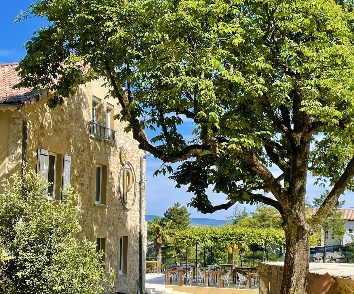 Paysage Domaine de la Pinède